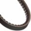 Gold Label Cog Belt (235 1575)   21/32" W x 99.8"