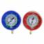 Blue Replacement Gauge F or      46041 Brute II M