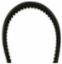 COG V-BELT (3001393) 5/8" W X 71" L