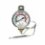 -40 TO 60 DEGREE STRAP H ANGER   THERMOMETER